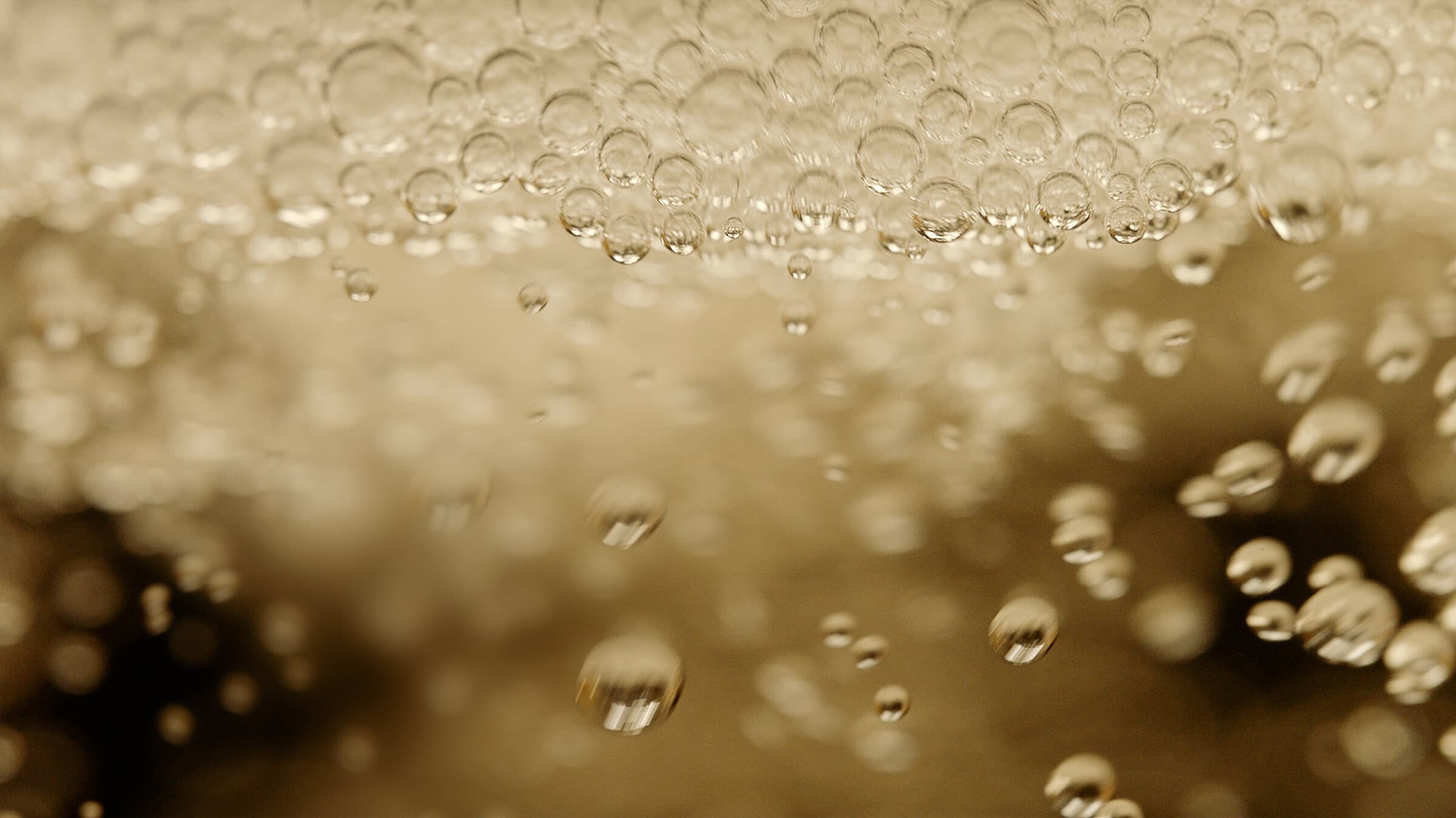 Activated carbon filter ensuring air purity within the wine cabinet