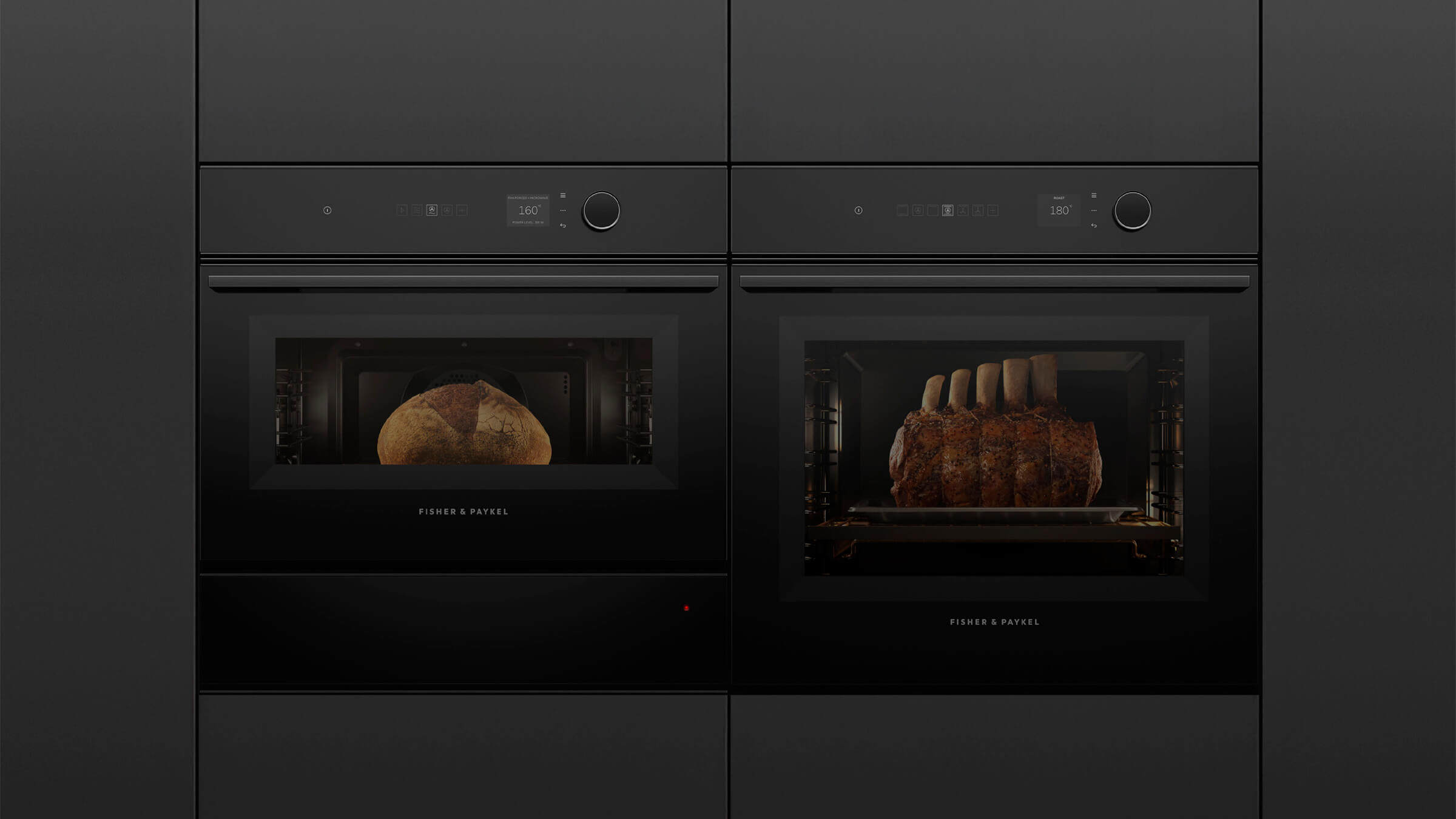 Fisher and Paykel Companion Appliances