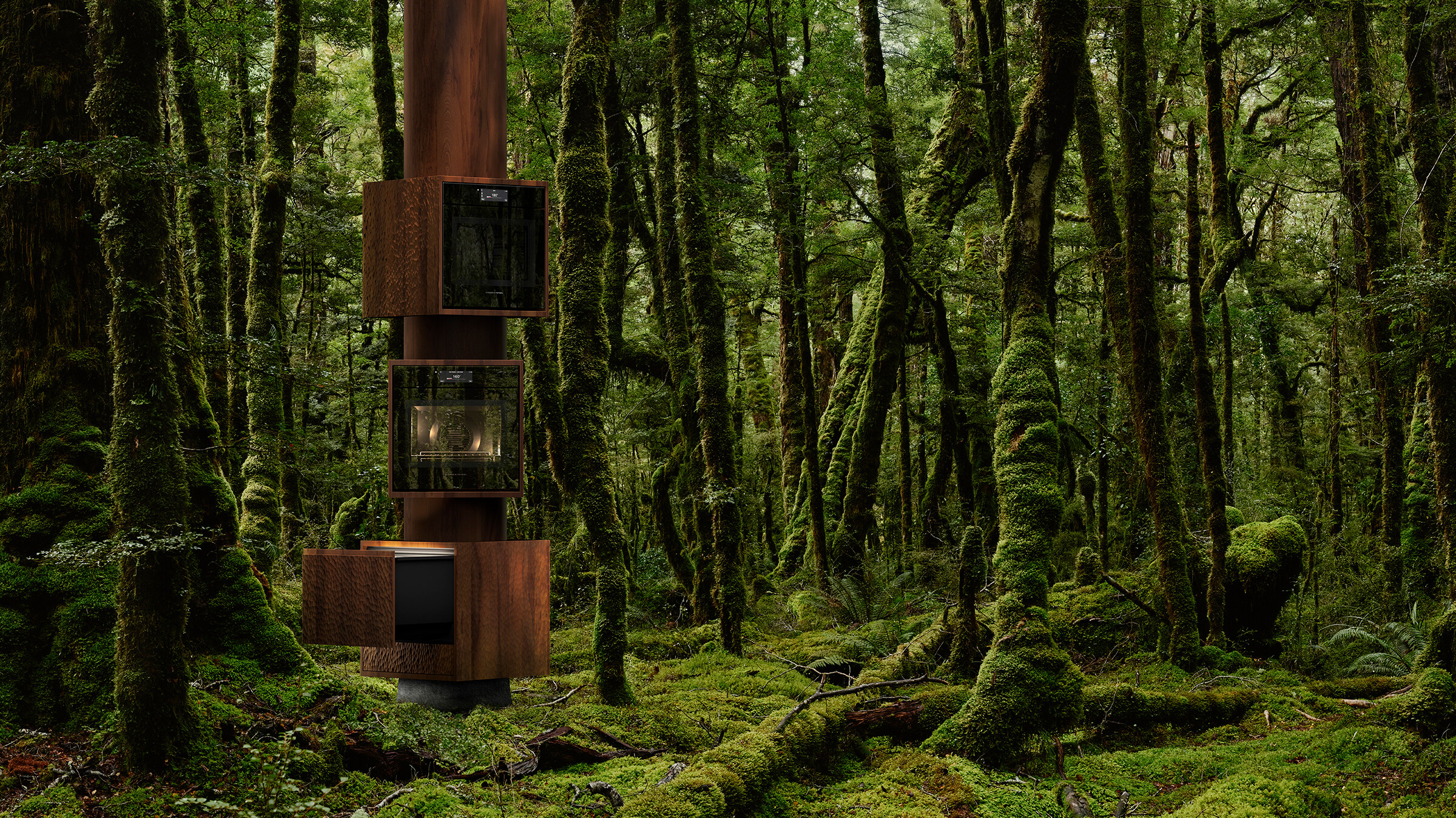 Forest scene showing Fisher & Paykel products on a tree