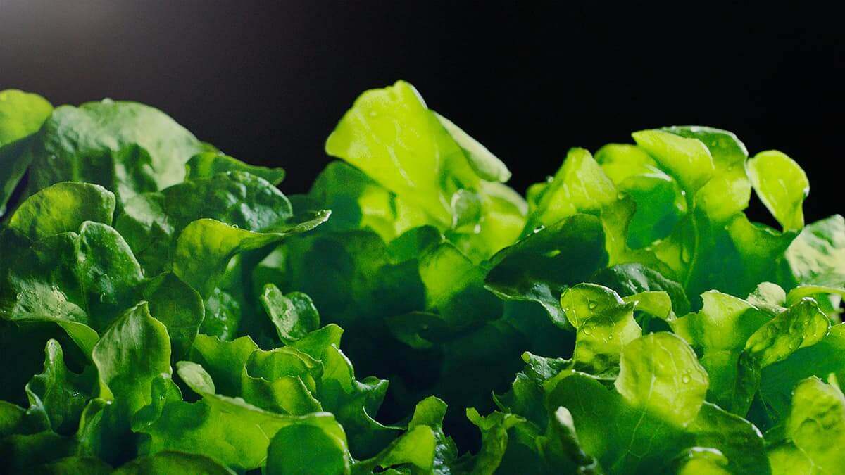 Dryer drum with garments in motion