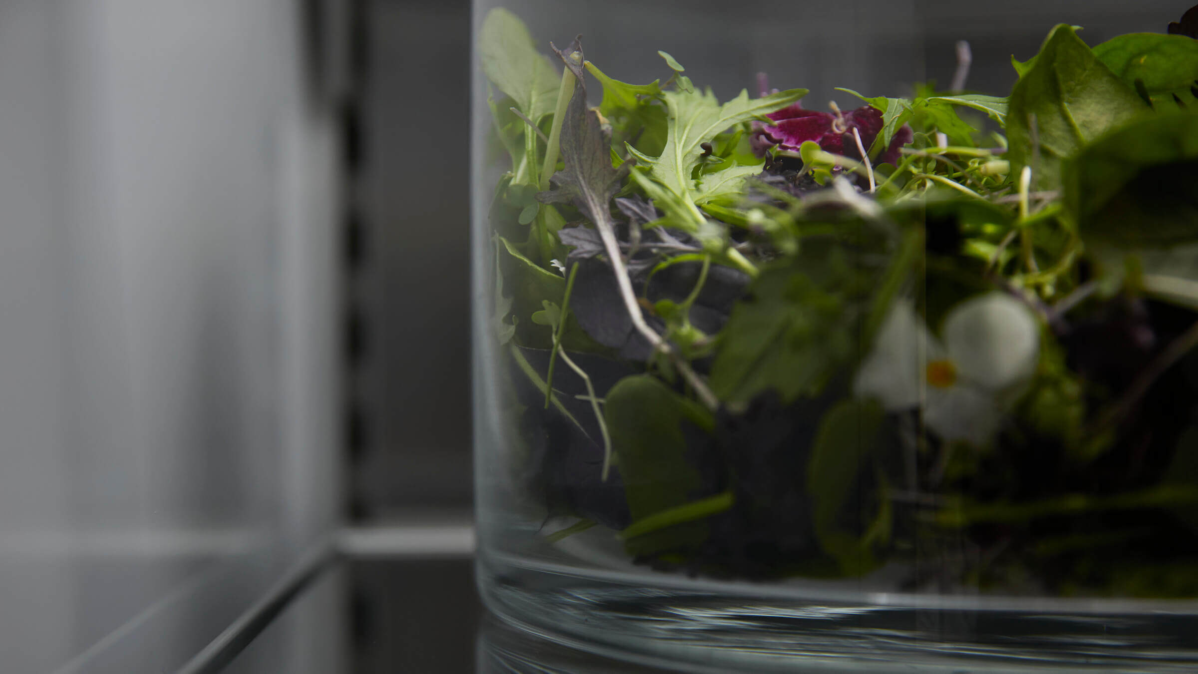 Detail of produce storage bins designed to maintain optimal humidity for freshness