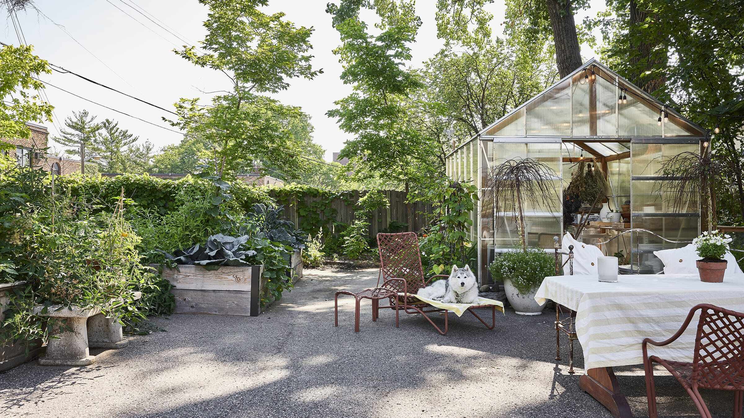 Backyard greenery
