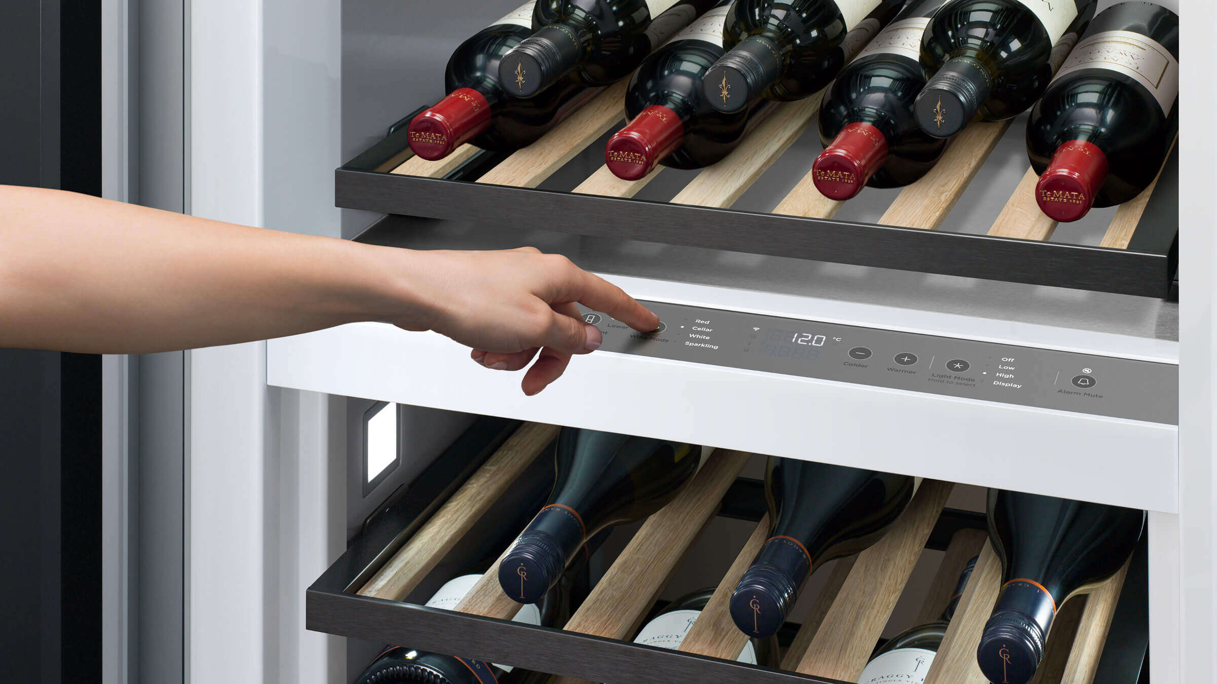 Interior view showing the consistent temperature management for wine ageing